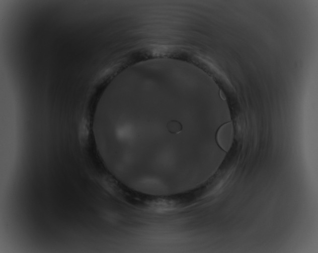 X0000100400691200806061316
