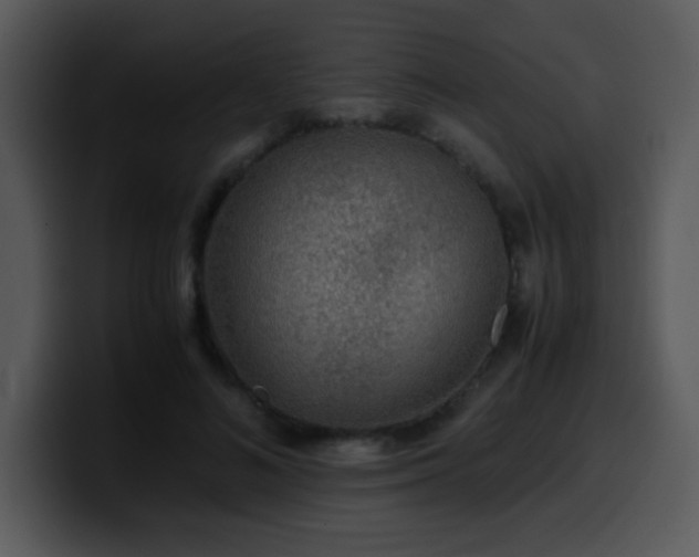 X0000100400692200806061316