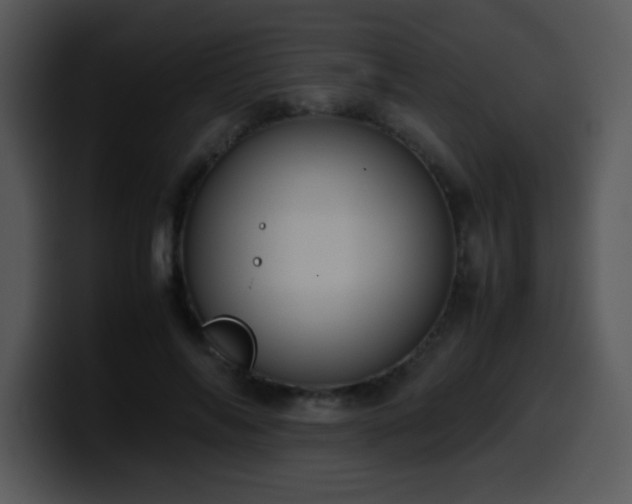 X0000100400694200806061316