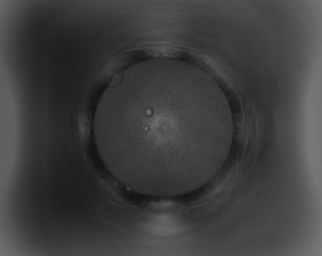 X0000100400695200806061316