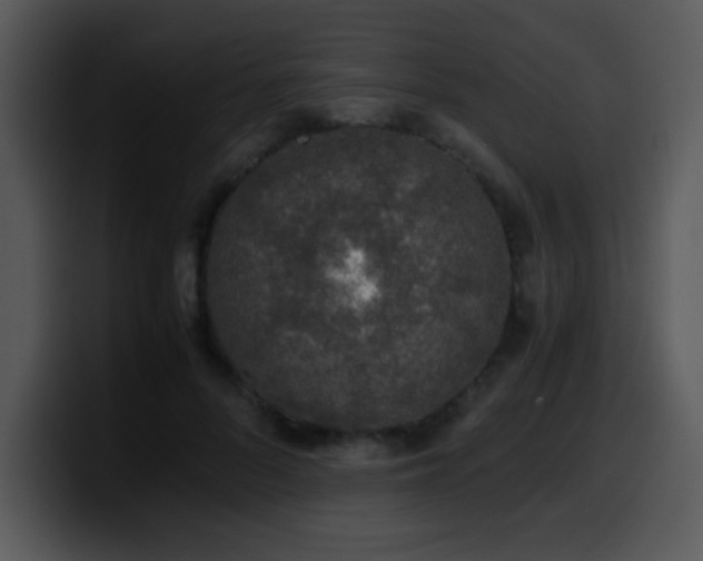 X0000100400696200806061316