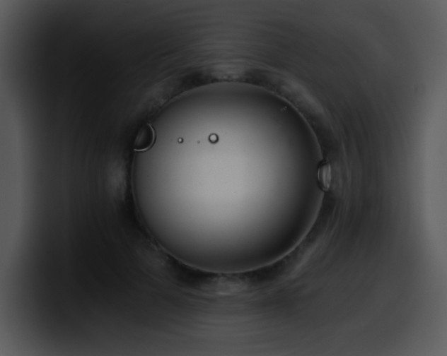 X0000100400697200806061316