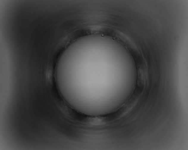 X0000100400698200806061316