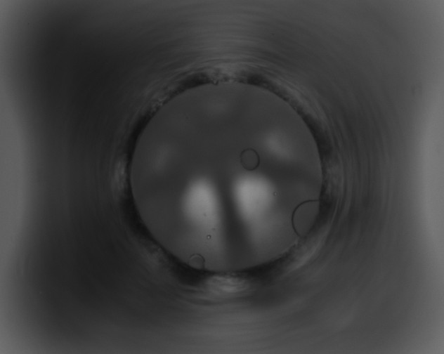 X0000100400699200806061316