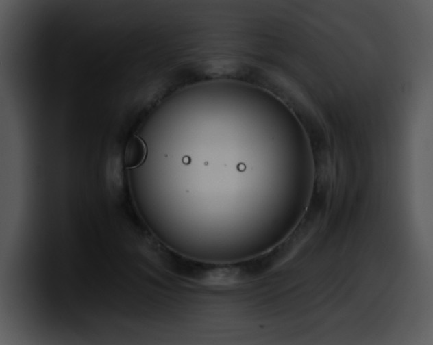 X0000100400700200806061316