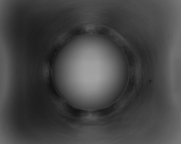 X0000100400702200806061316