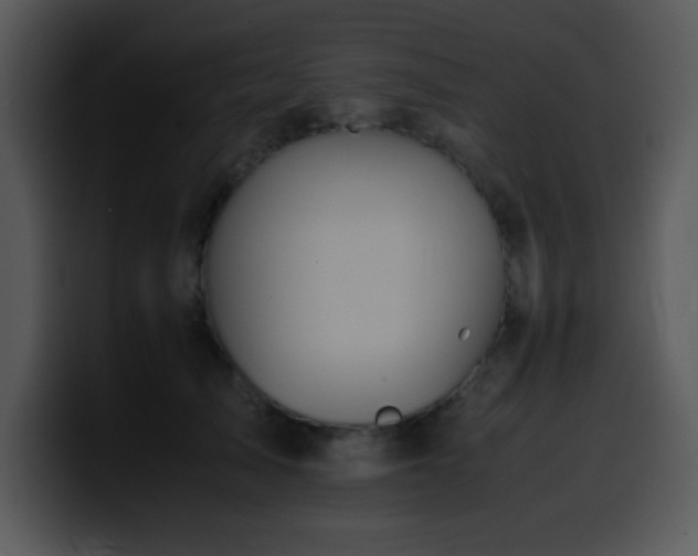 X0000100400705200806061316