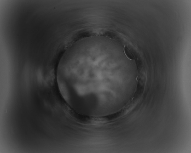 X0000100400707200806061316