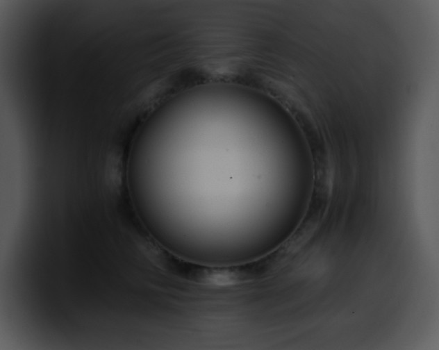 X0000100400710200806061316