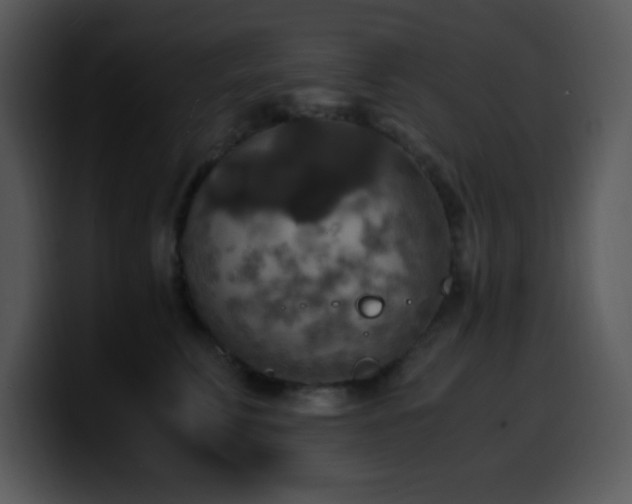X0000100400711200806061316