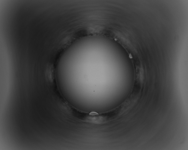 X0000100400712200806061316
