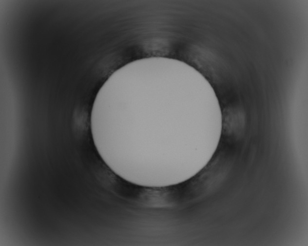 X0000100400713200806061316