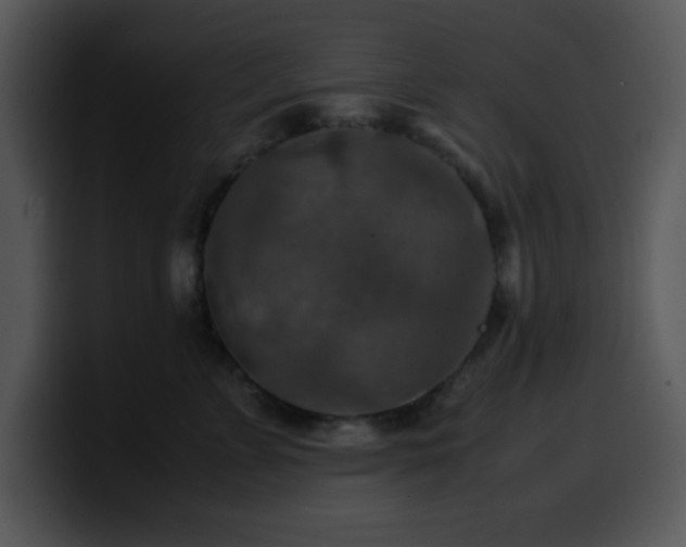 X0000100400715200806061316