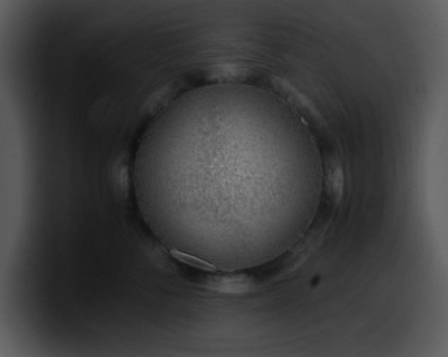 X0000100400716200806061316