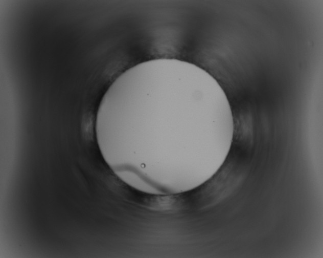 X0000100400717200806061316