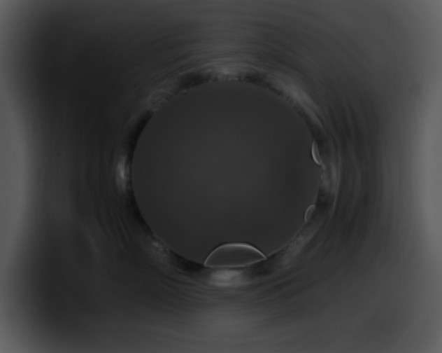 X0000100400718200806061316