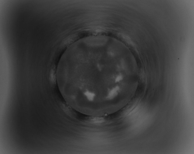 X0000100400719200806061316