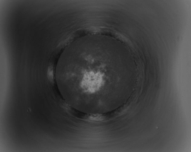 X0000100400720200806061316
