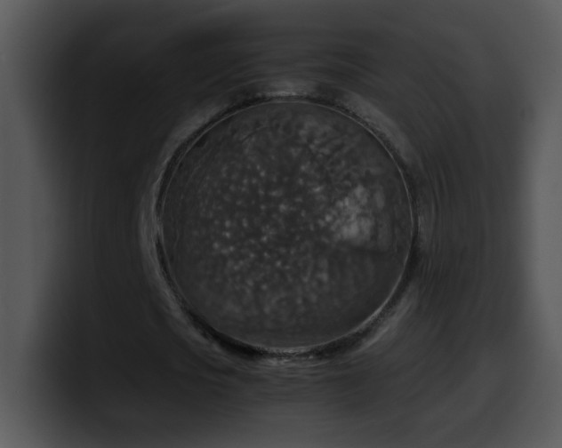 X0000100400721200806061315