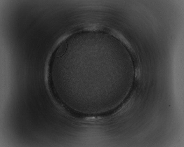 X0000100400724200806061315