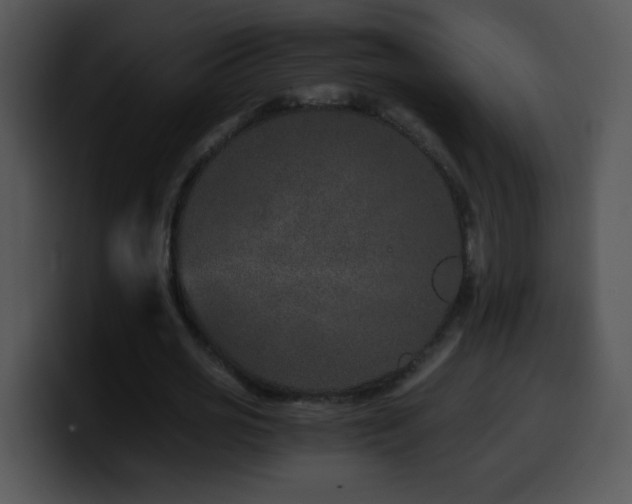 X0000100400725200806061315