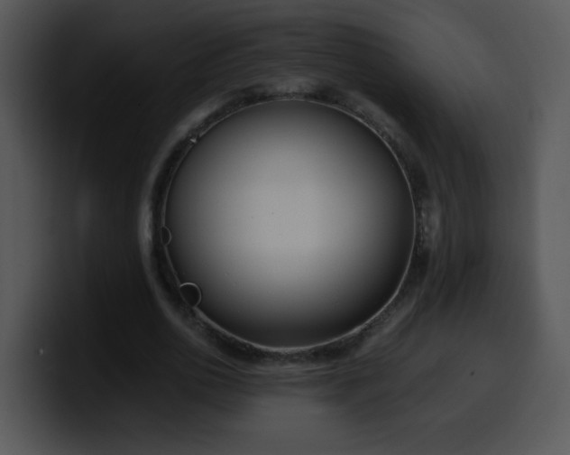 X0000100400726200806061315