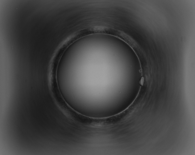 X0000100400728200806061315