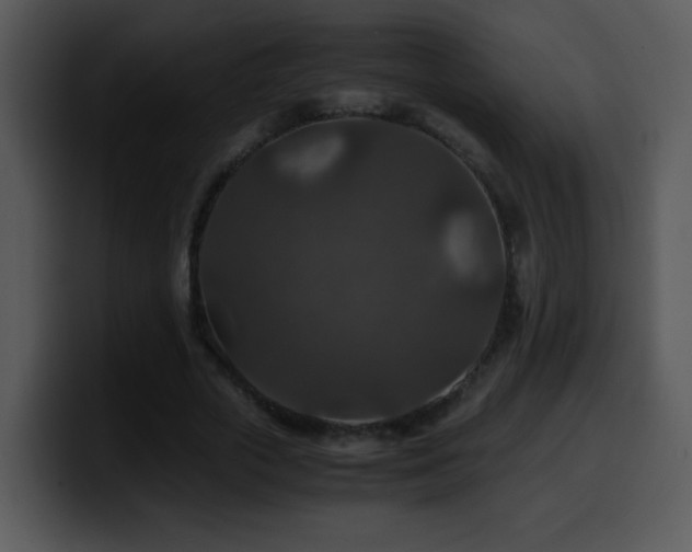 X0000100400729200806061315