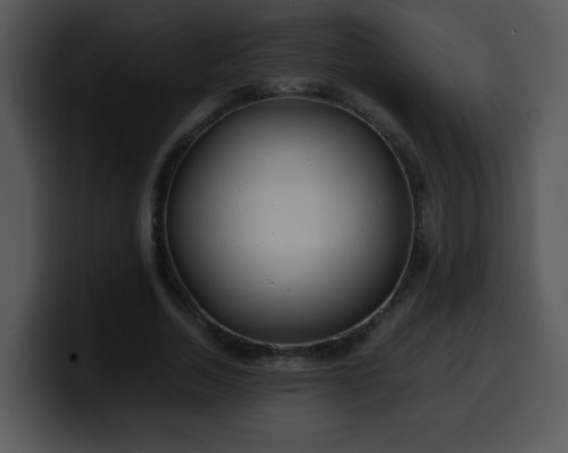 X0000100400730200806061315