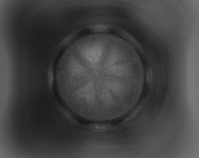 X0000100400733200806061315