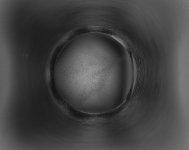 X0000100400734200806061315