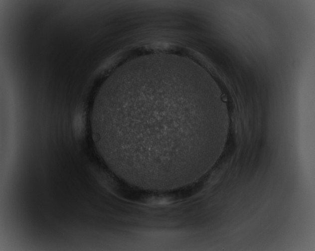 X0000100400735200806061315