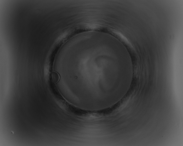 X0000100400736200806061315