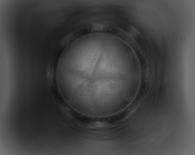 X0000100400737200806061315