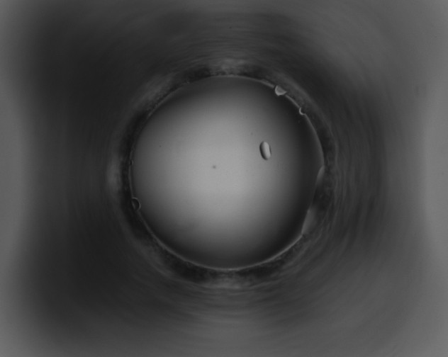 X0000100400738200806061315