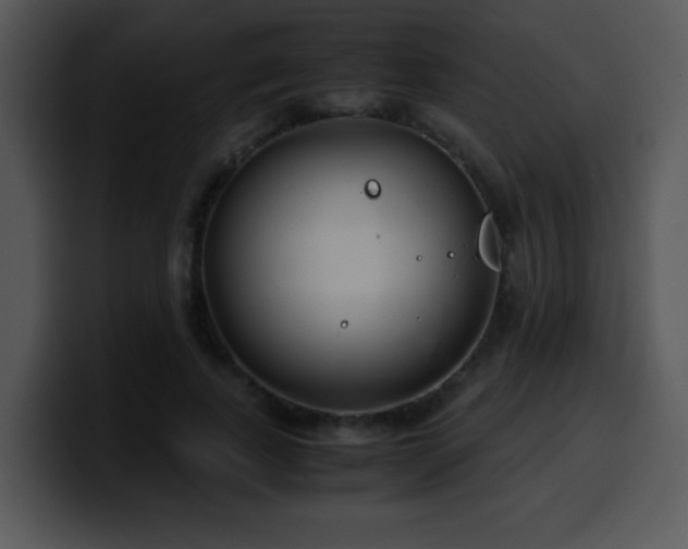 X0000100400739200806061315