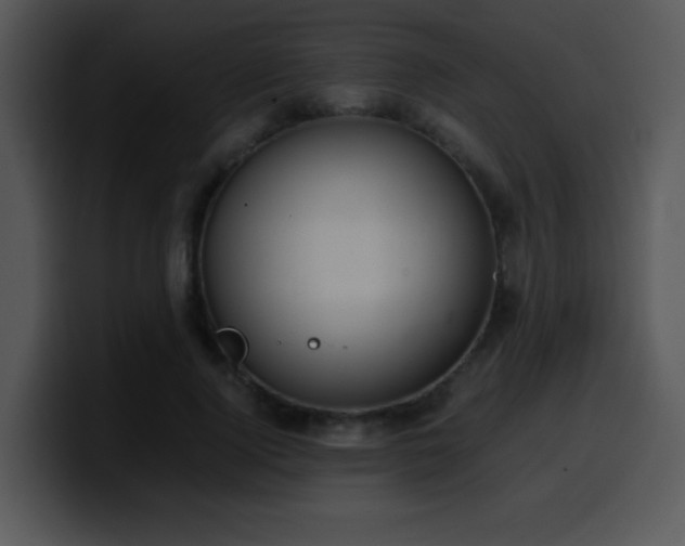 X0000100400740200806061315