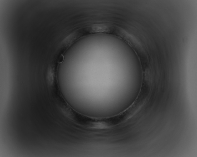X0000100400741200806061315