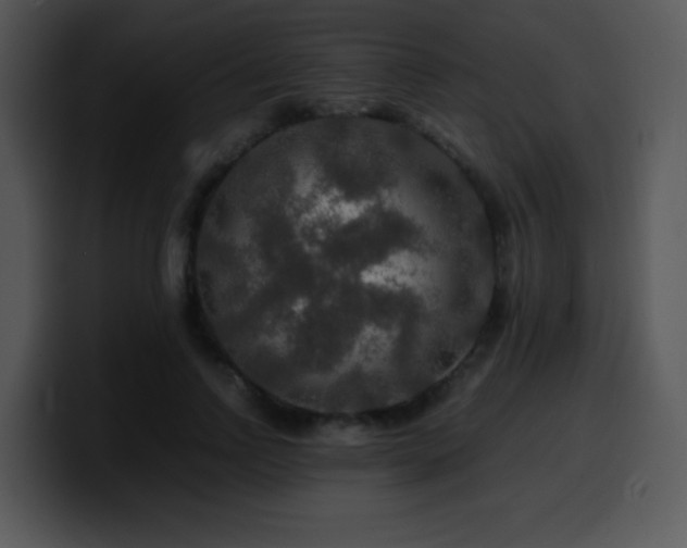 X0000100400742200806061316