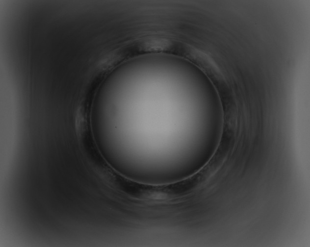 X0000100400743200806061316