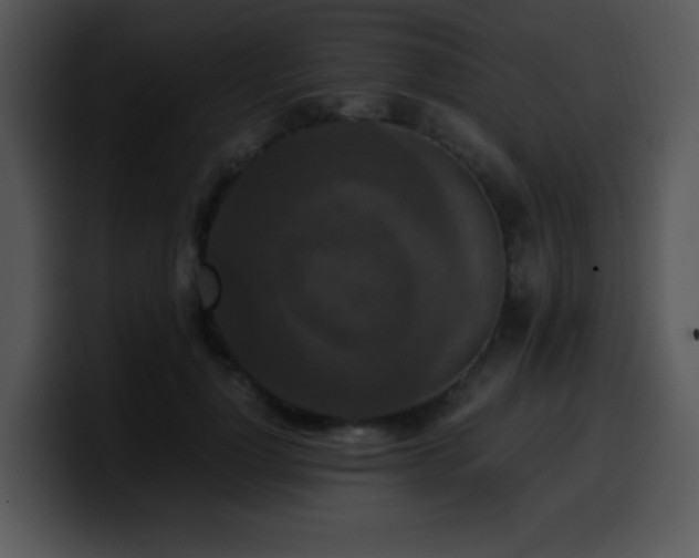 X0000100400748200806061316