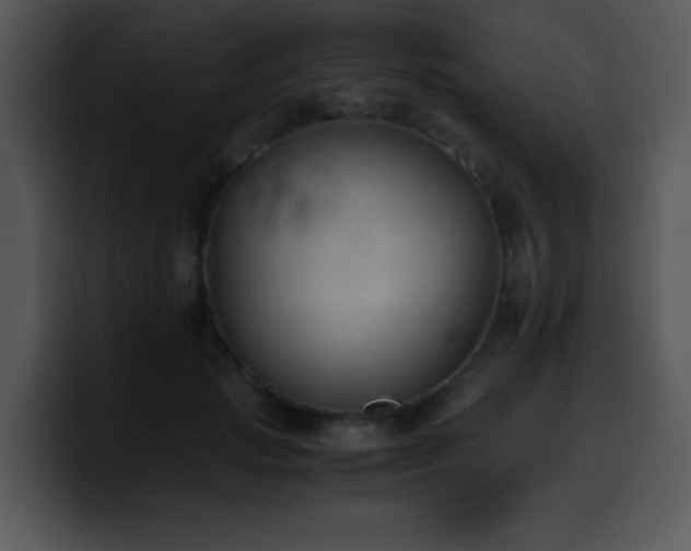 X0000100400749200806061316