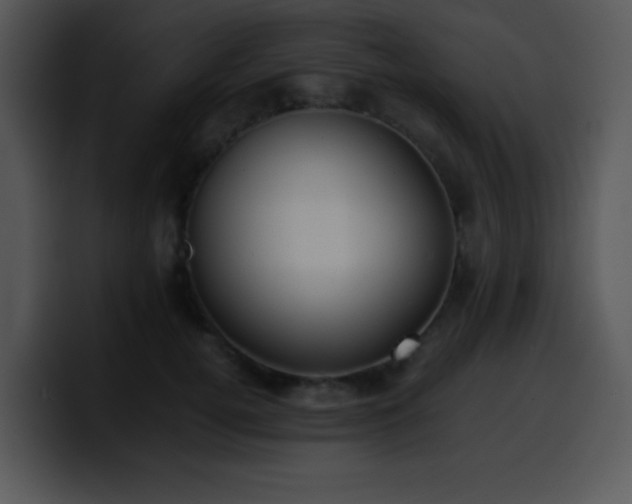 X0000100400752200806061316