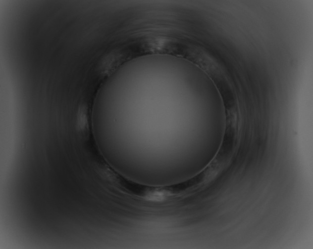 X0000100400754200806061316