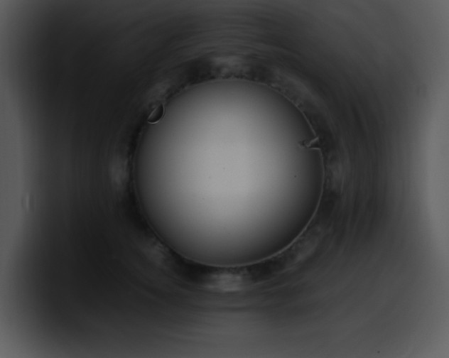 X0000100400756200806061316