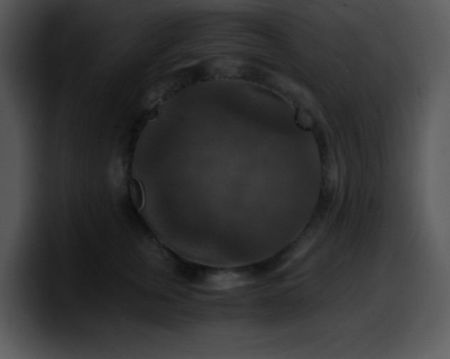 X0000100400759200806061316