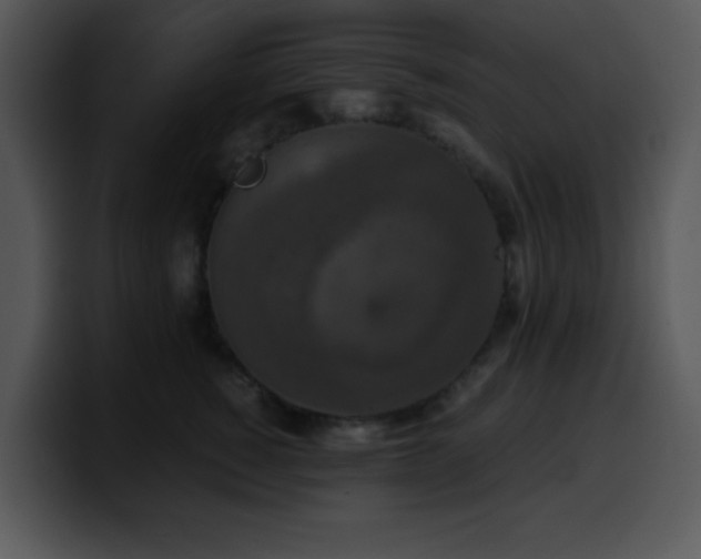 X0000100400760200806061316