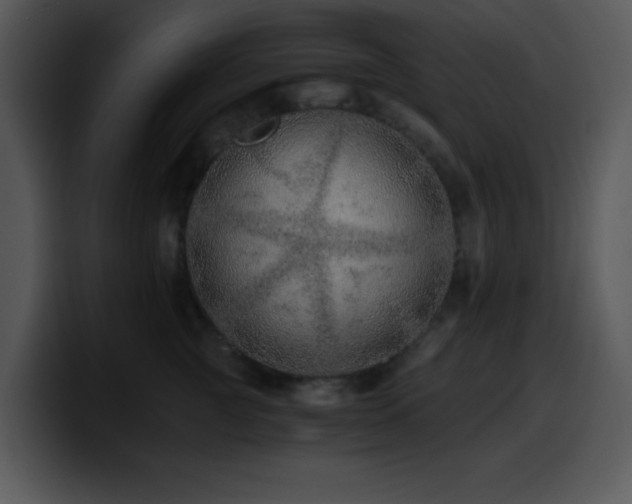 X0000100400761200806061316