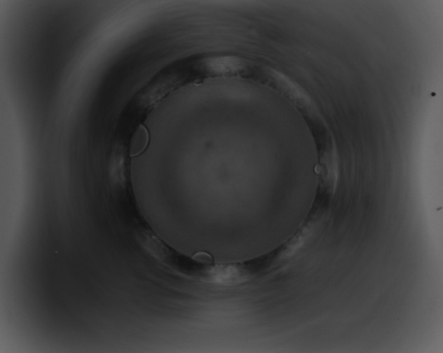 X0000100400762200806061316