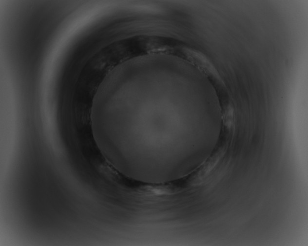 X0000100400763200806061316